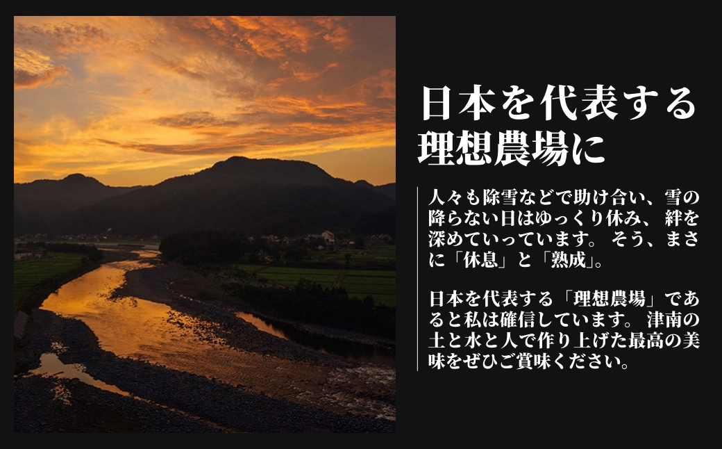 【6ヶ月定期便】【令和7年産】魚沼産  特別栽培米 コシヒカリ「ゆきやまと」10kg (5kg×2袋) ※節減対象農薬当地比5割減 ※東京米スターセレクション金賞受賞| こしひかり お米 おこめ こめ コメ ブランド米  新潟県 津南町