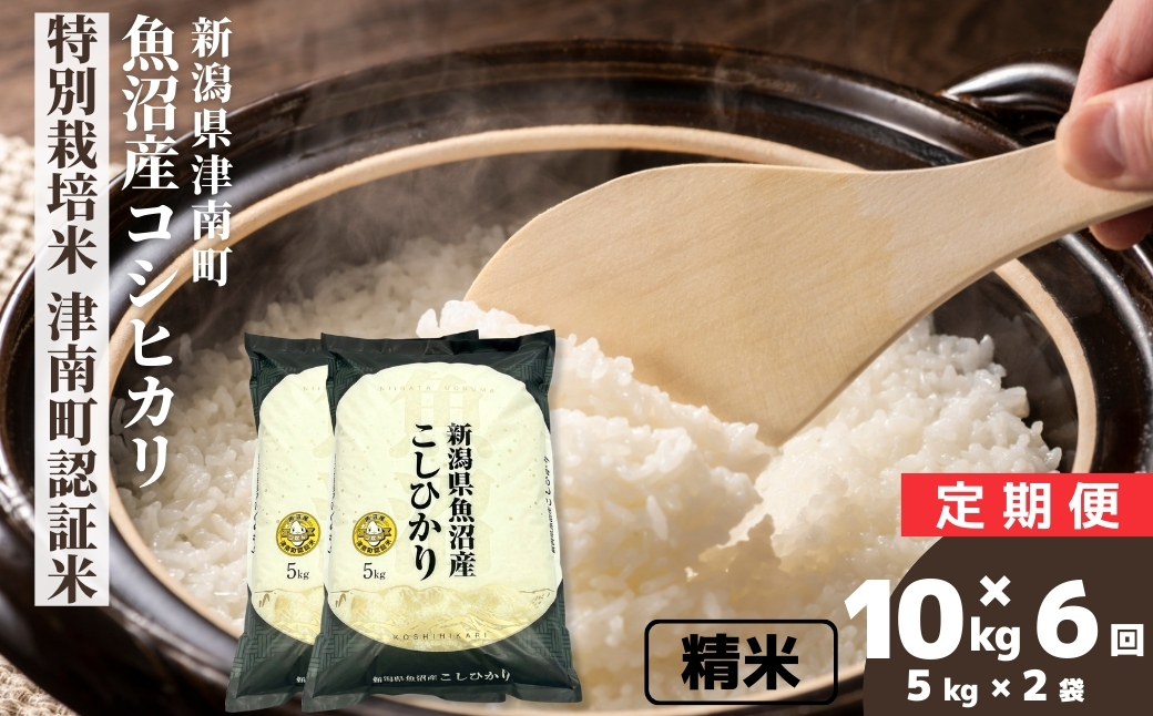 【6ヶ月定期便】【令和7年産】魚沼産コシヒカリ 特別栽培米 津南町認証米 10kg(5kg×2袋) 新潟県 津南町 大阪屋商店