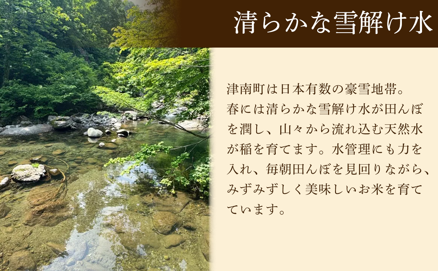 【令和8年産先行予約】魚沼産コシヒカリ 特選米 5kg(5kg×1袋) | 新潟県 津南町 株式会社紀之介