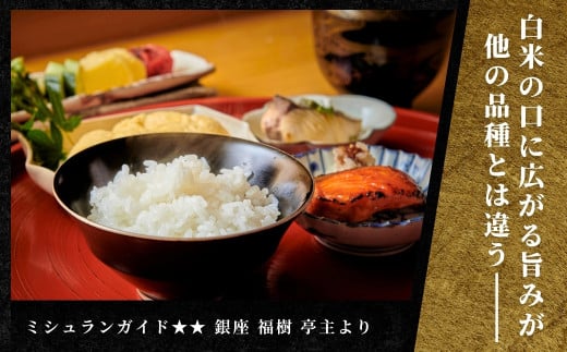 ã2025å¹Žç£æ°ç±³ãã12ã¶æå®æäŸ¿ãæé«çŽé沌ç£ã³ã·ãã«ãªãéªæ€¿ã10kg (5kgÃ2è¢) ç¹å¥æ œå¹ç±³