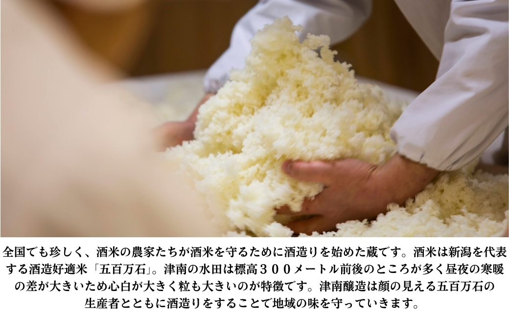 ã€ãªã çŽ
çŽç±³åéžé
720mlÃ1æ¬| 接åéžé æ°æœ