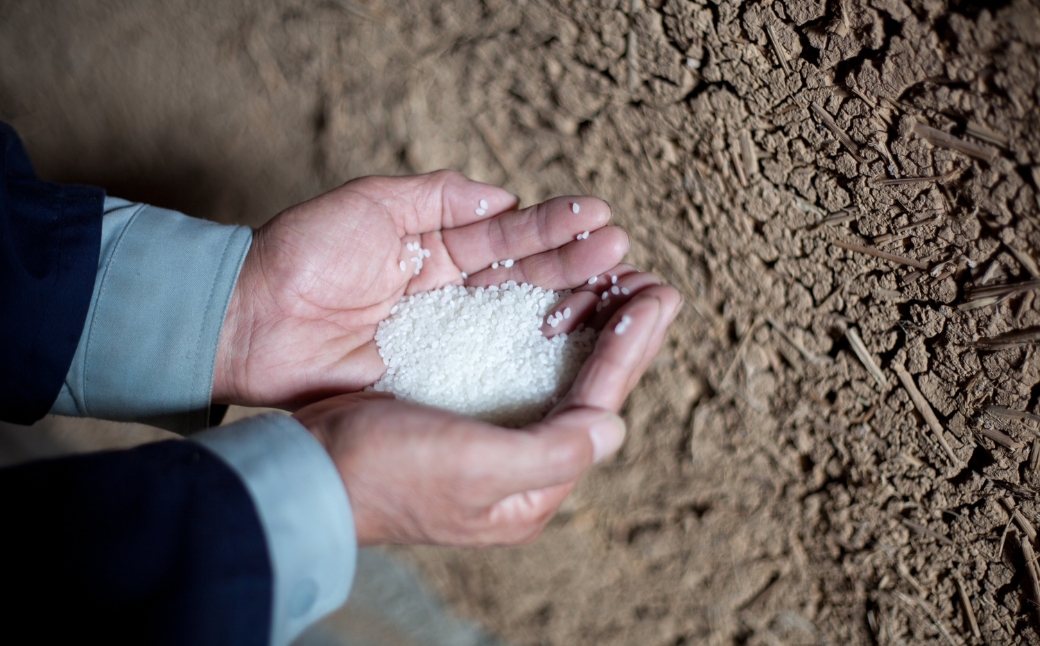 苗場山 純米吟醸・本醸造 720ml 2本セット