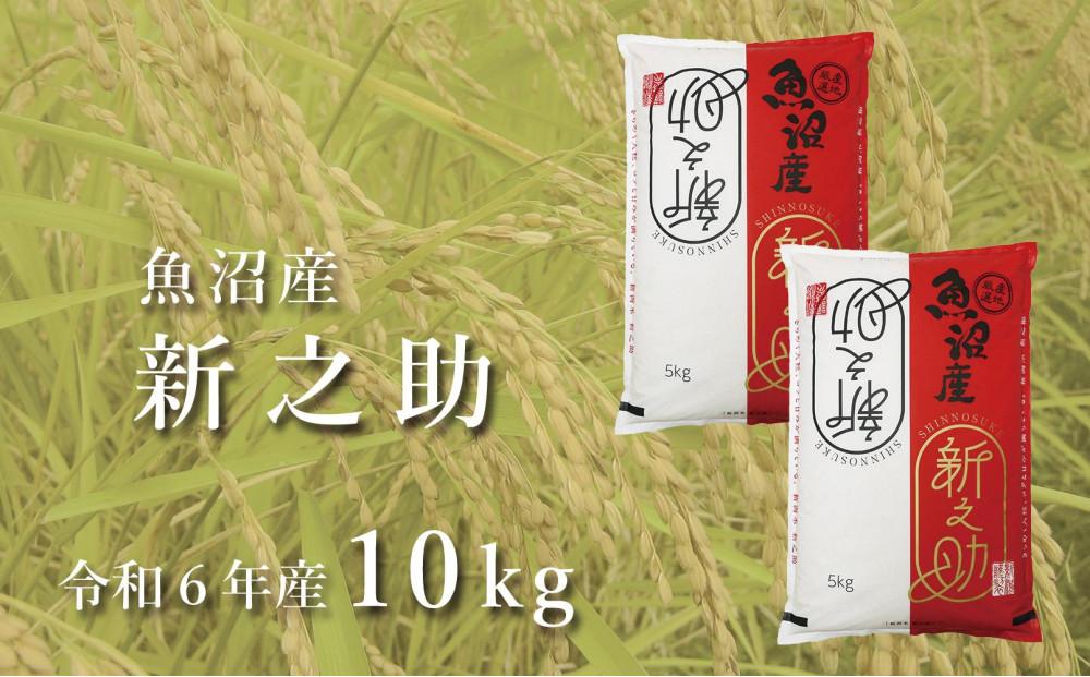 ＜令和6年産新米予約＞中魚沼産「新之助(しんのすけ)」10kg