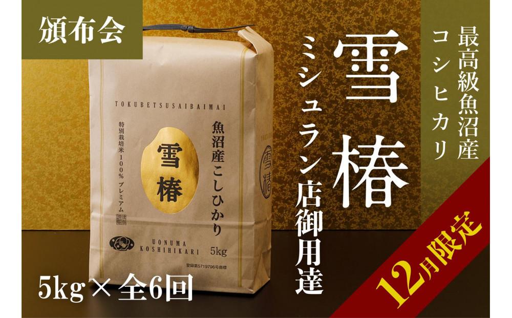 【12月限定・数量限定】【頒布会】雪椿 5kg×全6回 最高級魚沼産コシヒカリ