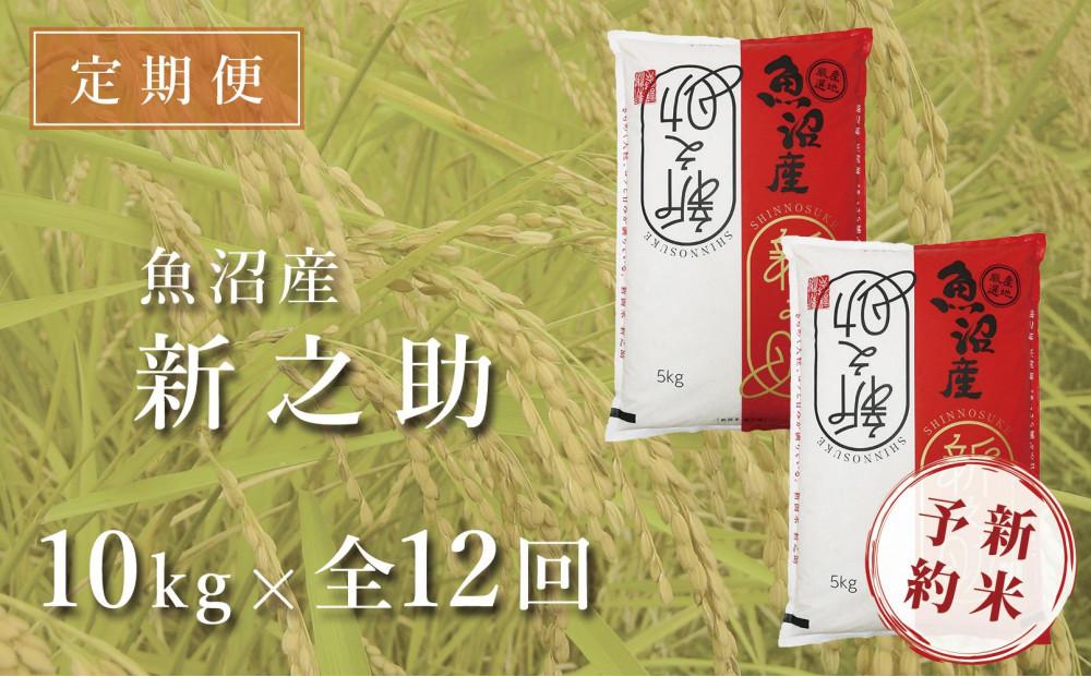 ＜令和6年産新米予約＞【定期便】中魚沼産「新之助(しんのすけ)」10kg×全12回