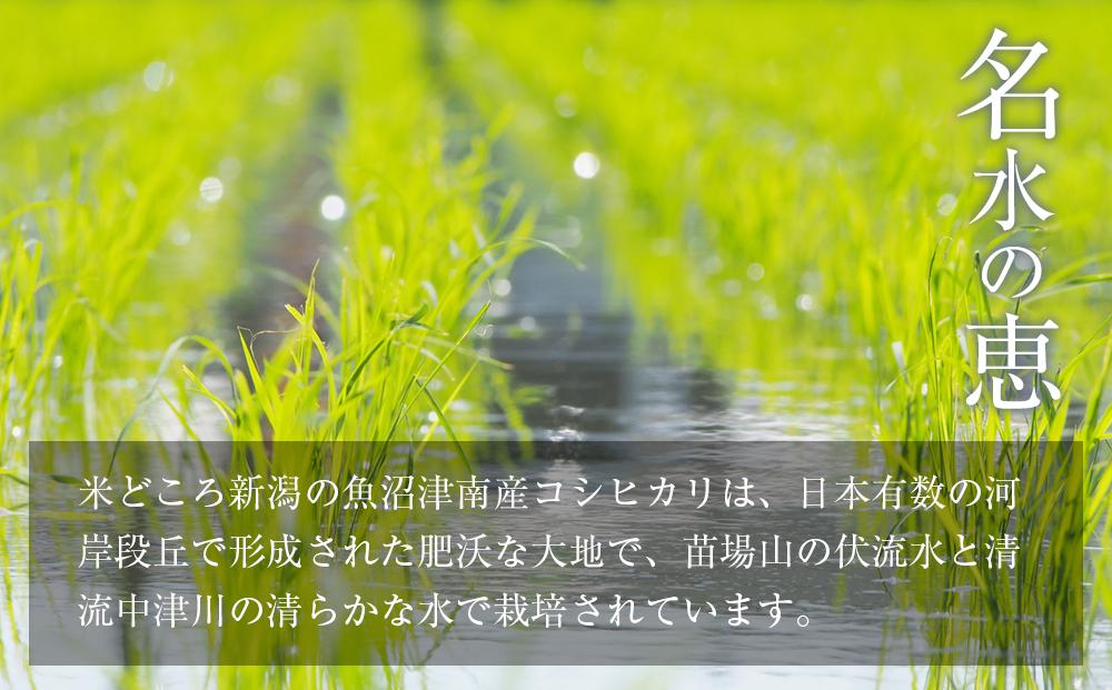 縲蝉サ、蜥7蟷エ逕」縲鷹ュ壽イシ豢・蜊礼肇繧ウ繧キ繝偵き繝ェ縲悟錐豌エ縺ョ諱オ縲5kg
