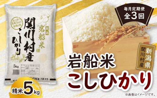 【毎月定期便】炊きたてつやつや 新潟関川村産 岩船米こしひかり精米 5kg [星山米店]全3回【4079623】