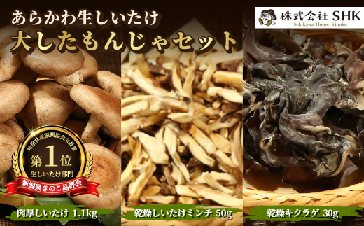 あらかわ生しいたけ　大したもんじゃセット(生しいたけ、乾燥しいたけミンチ、乾燥キクラゲ)【配送不可地域：離島】【1442540】