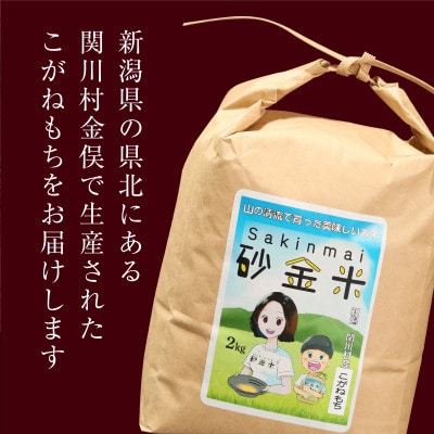 秘境の地で生産 砂金米 こがねもち精米2kg【1441587】