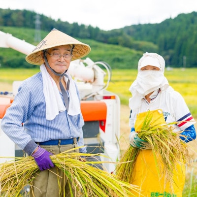 [先行予約] R8年産 岩船産こしひかり 精米5kg ふっくら美味しい [横山農産]【1737353】