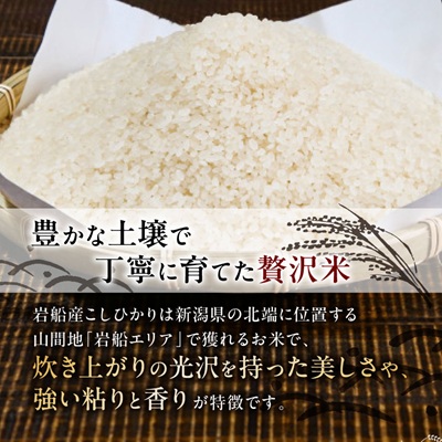 ふっくら食感!R7年産 関川村産コシヒカリ6kg(3kg×2) 丁寧に育てた贅沢米 [山口ファーム]【1344366】