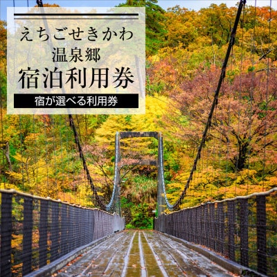 えちごせきかわ温泉郷宿泊利用券(9,000円分)【1278599】