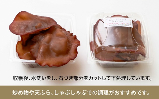 縺ゅi縺九o繝励Ξ繝溘い繝繧ク繝」繝ウ繝懃函繧ュ繧ッ繝ゥ繧イ220gテ2繝代ャ繧ッ縲宣埼∽ク榊庄蝨ー蝓滂シ夐屬蟲カ縲代1442523縲