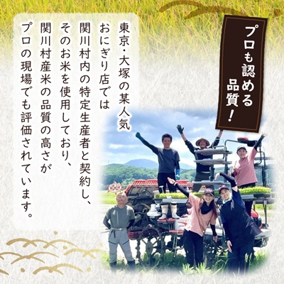 【毎月定期便】炊きたてつやつや 新潟関川村産 岩船米こしひかり精米 5kg [星山米店]全3回【4079623】