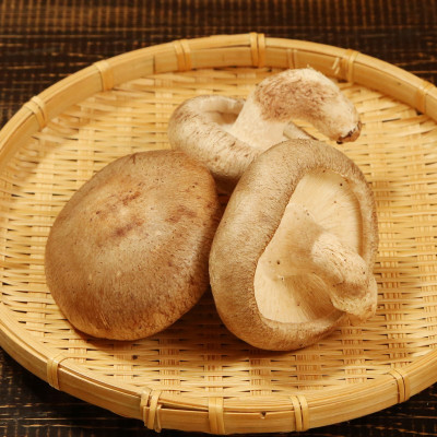 肉厚、やわらか!あらかわ生しいたけ大プレミアム【配送不可地域：離島】【1442522】
