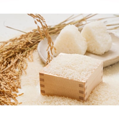 【毎月定期便】炊きたてつやつや 新潟関川村産 岩船米こしひかり　精米 5kg [星山米店]全6回【4076217】