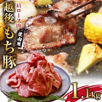 越後もち豚肩ロース肉(焼肉用)1.1kg【配送不可地域：離島】【1117862】