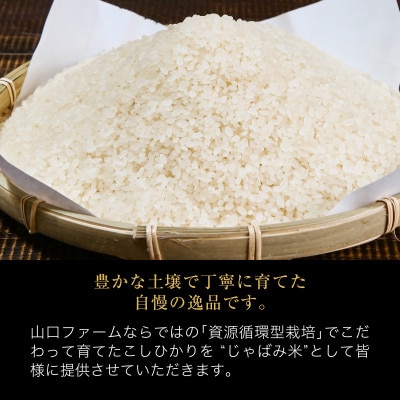 山口ファームのお米 こしひかり精米6kg(3kg×2袋)「じゃばみ」【1344366】