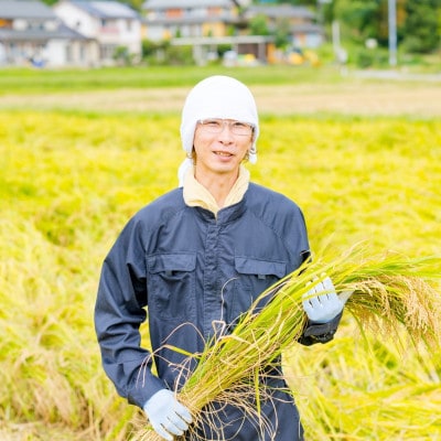 【毎月定期便】関川村産コシヒカリ6kg 丁寧に育てた贅沢米 [山口ファーム]全6回【4073239】