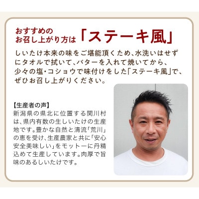 肉厚でプレミアムジャンボ!あらかわ生しいたけ&生キクラゲセット【配送不可地域：離島】【1718291】