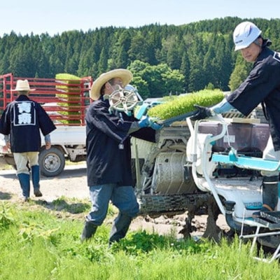 R7年産 新潟県岩船産 コシヒカリ玄米30kg　米食味鑑定士が厳選吟味した1等米 [青南総合農園]【1693748】