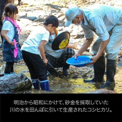 R7蟷エ逕」 遘伜「縺ョ蝨ー縺ョ遐る醍アウ 蟯ゥ闊ケ逕」繧ウ繧キ繝偵き繝ェ 邊セ邀ウ5kg(5kgテ1陲)縲1748087縲