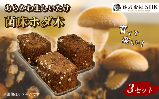 育てて楽しい!あらかわ生しいたけ菌床ホダ木 3セット【1442708】