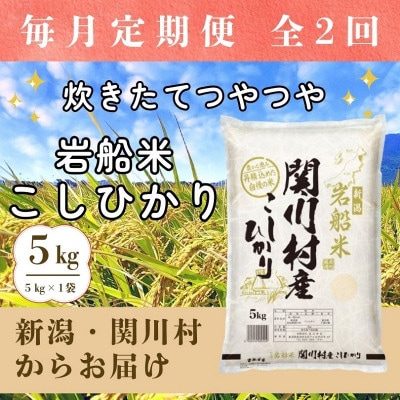 【毎月定期便】炊きたてつやつや 新潟関川村産 岩船米こしひかり精米 5kg [星山米店]全2回【4079622】