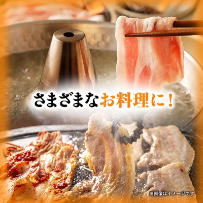 [小分けパックがうれしい] 越後もち豚肩ロース肉(しゃぶしゃぶ用) 合計900g【配送不可地域：離島】【1644024】