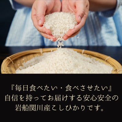 [先行予約] R8年産 岩船産こしひかり 精米5kg ふっくら美味しい [横山農産]【1737353】