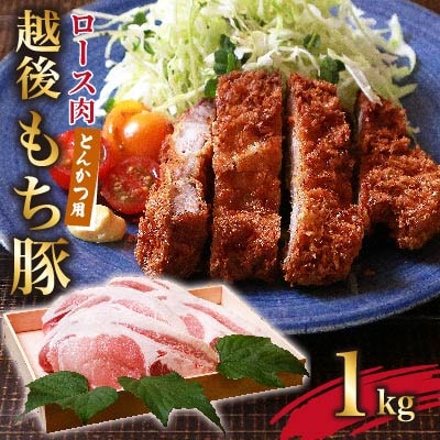 越後もち豚ロース肉(とんかつ用)1kg【配送不可地域：離島】【1117858】