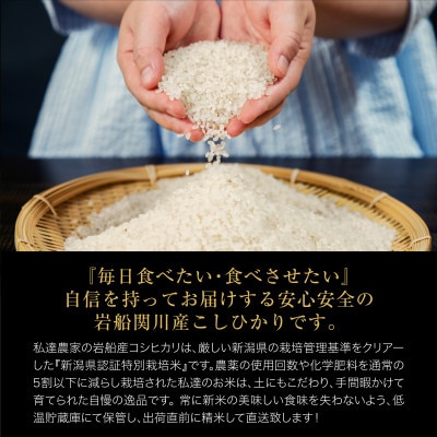 R7年産 関川村産こしひかり 精米5kg ふっくら美味しさ 岩船米 [横山農産]【1638512】