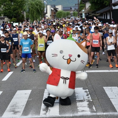 2026年6月21日開催 関川マラソン 大会エントリー権 マラソン スポーツイベント 12km【1713419】