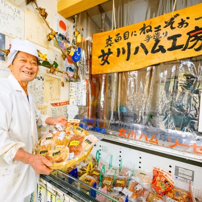 お酒に合う!女川ハム工房の珍味4種食べ比べセット【配送不可地域：離島】【1586672】