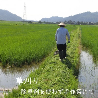 R7年産 [極上]安心こだわり米 岩船産コシヒカリ精米6kg(3kg×2袋)[百姓屋]【1668936】