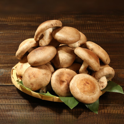 肉厚、やわらか!あらかわ生しいたけ大プレミアム【配送不可地域：離島】【1442522】