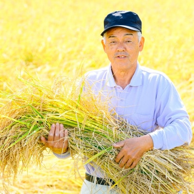 R7蟷エ逕」 遘伜「縺ョ蝨ー縺ョ遐る醍アウ 蟯ゥ闊ケ逕」繧ウ繧キ繝偵き繝ェ 邊セ邀ウ5kg(5kgテ1陲)縲1748087縲