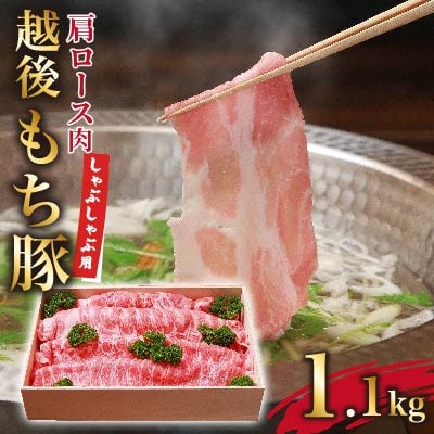 [小分けパックがうれしい] 越後もち豚肩ロース肉(しゃぶしゃぶ用) 合計1.1kg【配送不可地域：離島】【1577696】