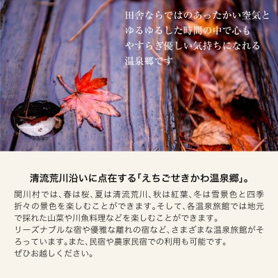 選ばれる温泉体験 90,000円分の温泉宿泊利用券【1711739】