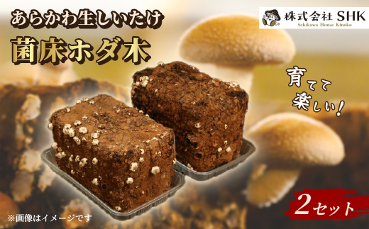 育てて楽しい!あらかわ生しいたけ菌床ホダ木 2セット【1442536】