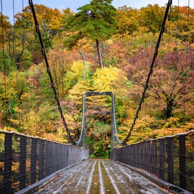 選ばれる温泉体験 12,000円分の温泉宿泊利用券【1711669】