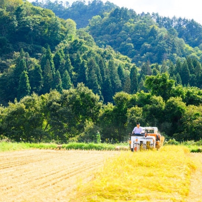 R7蟷エ逕」 遘伜「縺ョ蝨ー縺ョ遐る醍アウ 蟯ゥ闊ケ逕」繧ウ繧キ繝偵き繝ェ 邊セ邀ウ5kg(5kgテ1陲)縲1748087縲