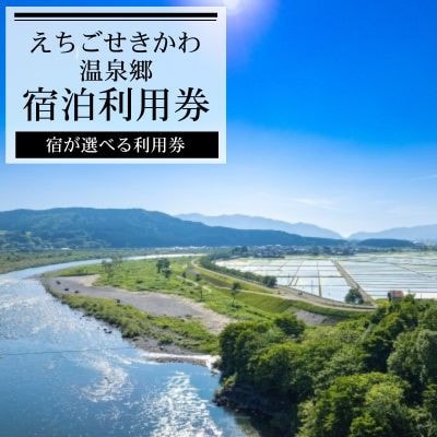 選ばれる温泉体験 24,000円分の温泉宿泊利用券【1711714】