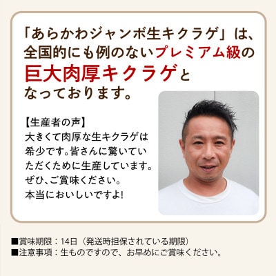 肉厚でプレミアムジャンボ!あらかわ生しいたけ&生キクラゲセット【配送不可地域：離島】【1718291】