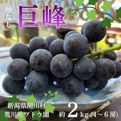 【先行予約】ぶどうの王様!種なし巨峰 約2kg [荒川峡ブドウ園]【配送不可地域：離島】【1243930】