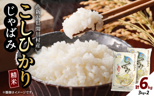 ふっくら食感!R7年産 関川村産コシヒカリ6kg(3kg×2) 丁寧に育てた贅沢米 [山口ファーム]【1344366】