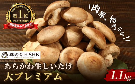 閧牙字縲√d繧上i縺!縺ゅi縺九o逕溘@縺縺溘¢螟ァ繝励Ξ繝溘い繝縲宣埼∽ク榊庄蝨ー蝓滂シ夐屬蟲カ縲代1442522縲