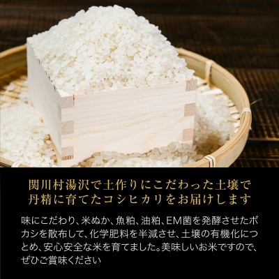 岩船産コシヒカリ 用助商店のお米 こしひかり精米6kg(2kg×3袋)【1441588】