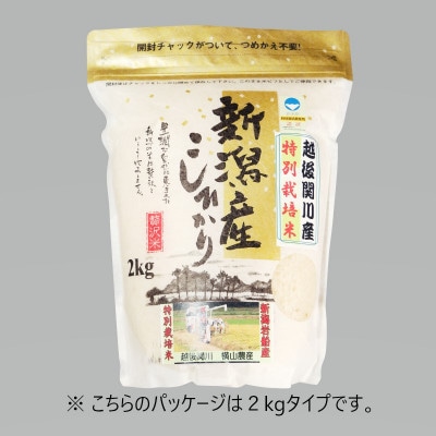 [先行予約] R8年産 岩船産こしひかり 精米6kg ふっくら美味しい [横山農産]【1737359】
