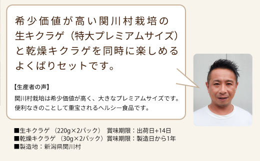 縺ゅi縺九o繧ュ繧ッ繝ゥ繧イ逕溘サ荵セ辯・繧サ繝繝(逕溘く繧ッ繝ゥ繧イ220gテ2繝代ャ繧ッ繝サ荵セ辯・繧ュ繧ッ繝ゥ繧イ30gテ2繝代ャ繧ッ)縲宣埼∽ク榊庄蝨ー蝓滂シ夐屬蟲カ縲代1442531縲